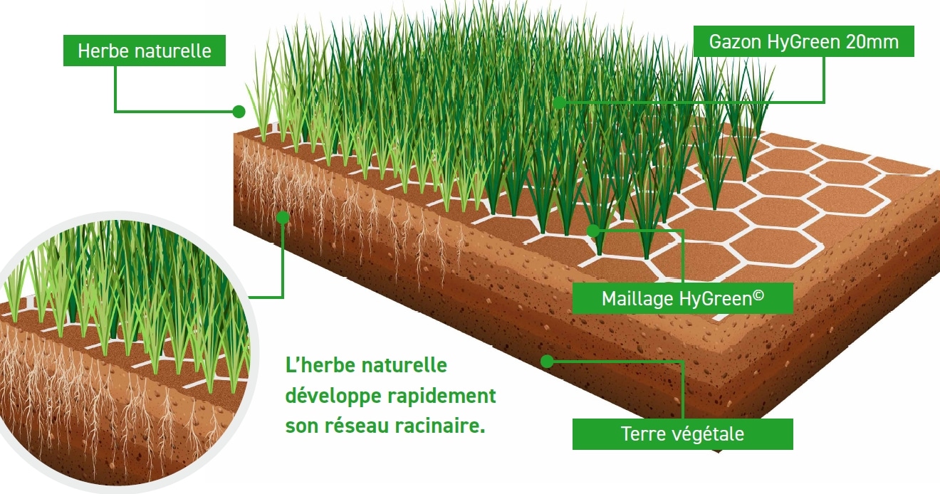 Gazon Synthétique 7 Mm - Fabriqué En Italie, 100% Polypropylène, Support Caoutchouc Antidérapant - Choix 1m Ou 2m De Large